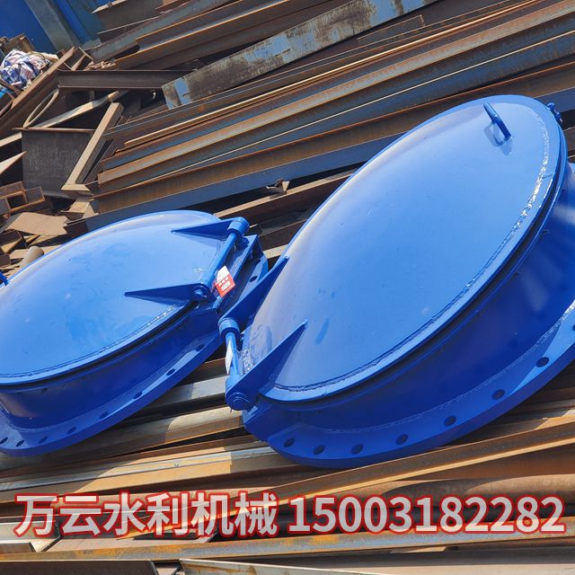 钢制拍门 (1)