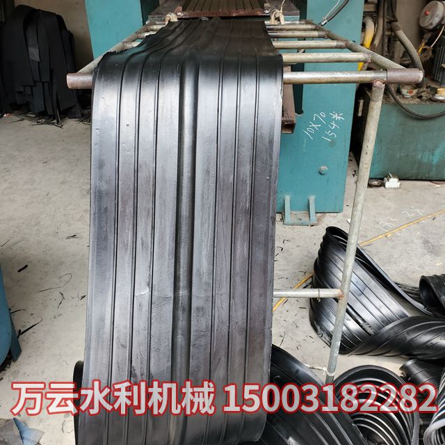 止水带 (1)