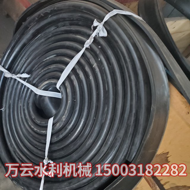 止水带 (2)