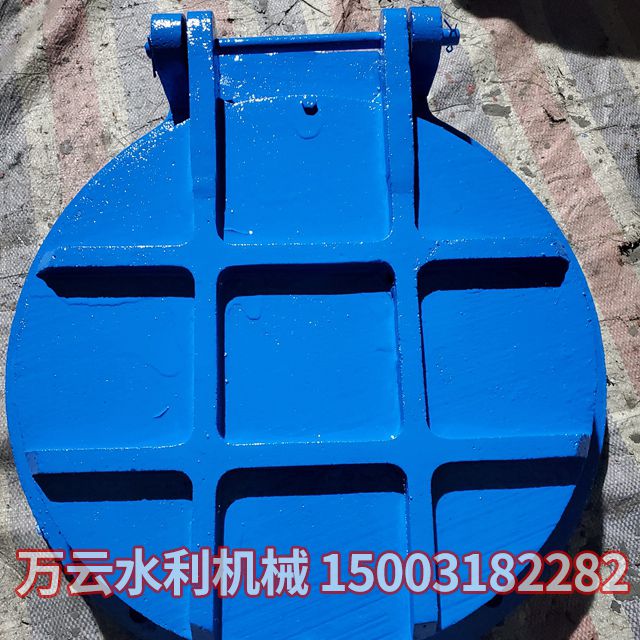 铸铁拍门 (4)